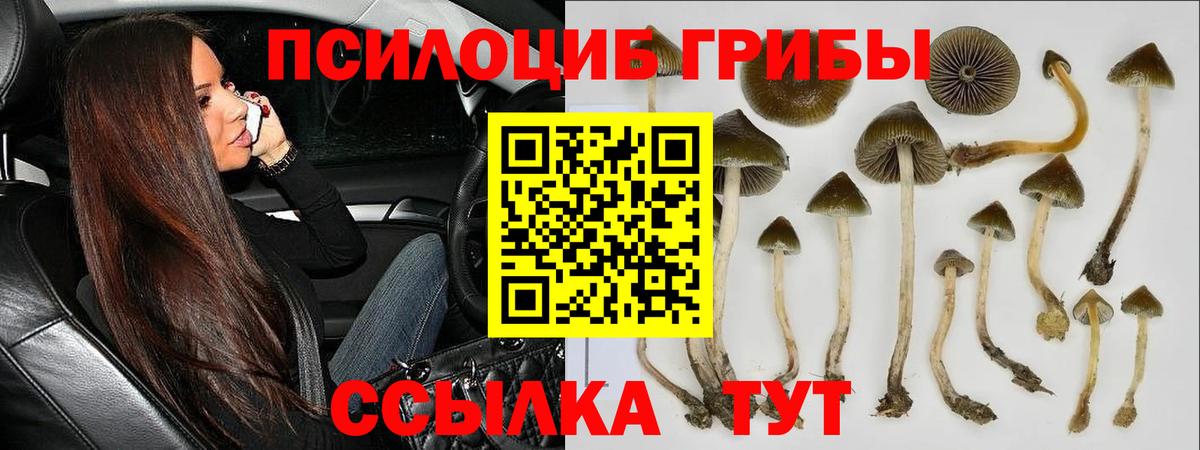 Североуральск  Галлюциногенные грибы мицелий  Псилоцибиновые грибы мухоморы  Вход с VPN 