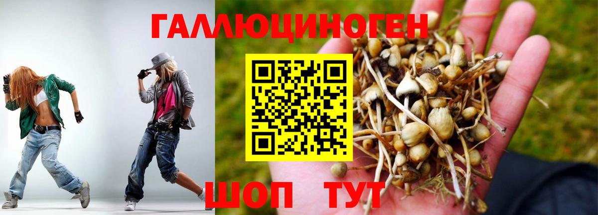 Псилоцибиновые грибы Psilocybe Североуральск